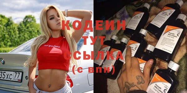хмурый Елизово