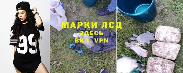 хмурый Елизово